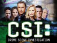 C.S.I Las Vegas